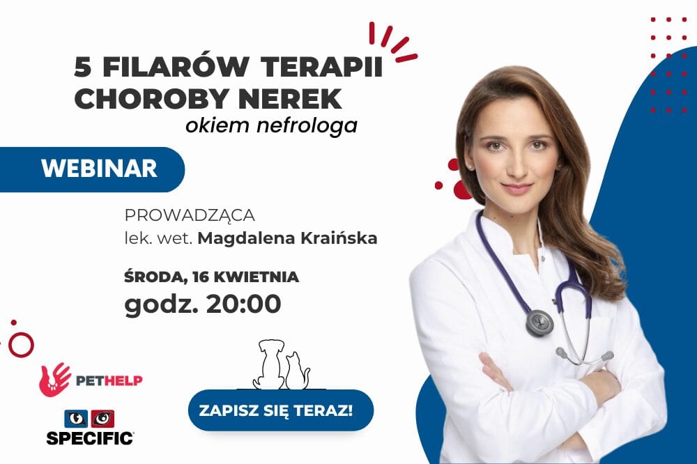 banner kwietniowy webinar dr krainska